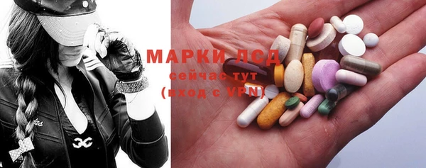 сатива Горняк