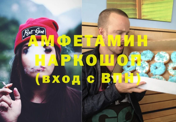 сатива Горняк