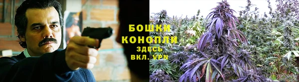 MDMA Premium VHQ Горнозаводск
