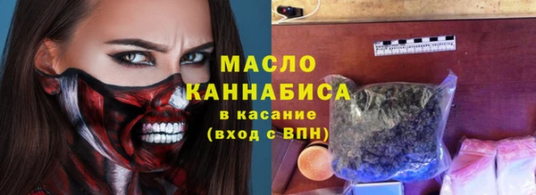 сатива Горняк