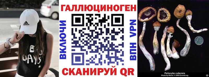 OMG как зайти  наркота  Омутнинск  Галлюциногенные грибы Cubensis 